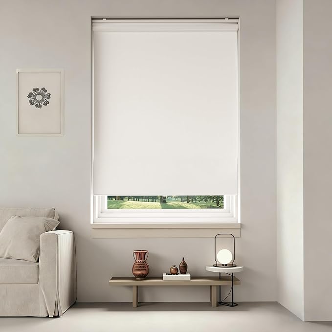 Cordless Roller Shades Blackout Blinds for Windows Room Darkening Rolled Up Shades with Spring System, UV Protection Window Shades Door Blinds for Home and Office (White, 27" W x 72" H)