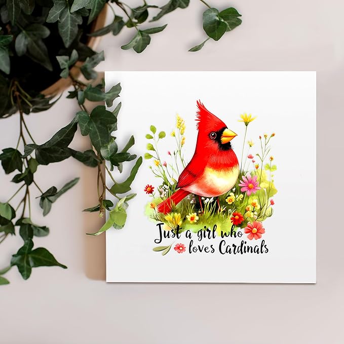 Cardinal Decor Wooden Box Sign Decorative, Home Room Desk Decorations For Teens Teenage Girls Age 8-12, Cardinal Lovers Themed Gifts Stuff Accessories Things Merchandise Items!