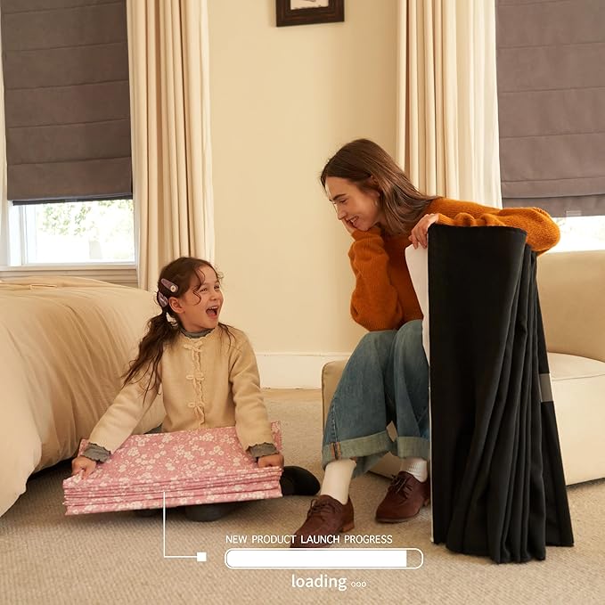 Blackout Roman Shades Cordless for Windows, Pull Down Window Shades Blinds with Heavy 430GSM Chenille & White Backing & Thermal Insulated & Hidden Cords, 23x60 Inches (Charcoal Gray)