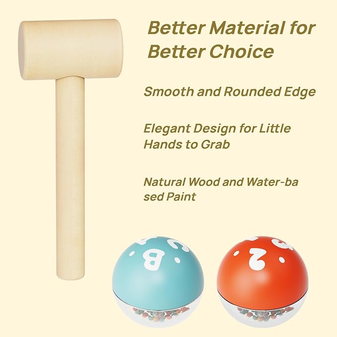 Toddler Toys for 1-2 Year Old Boy, Montessori Toys for 1 Year Old, First Birthday Gifts