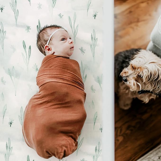 GRSSDER Ultra Soft Jersey Knit Fitted Crib Sheets Set 2 Pack, High Stretchy Breathable Material with Deep Pocket Universal Fitted All Standard Crib Mattress Pads Safe and Snug, Mint Green