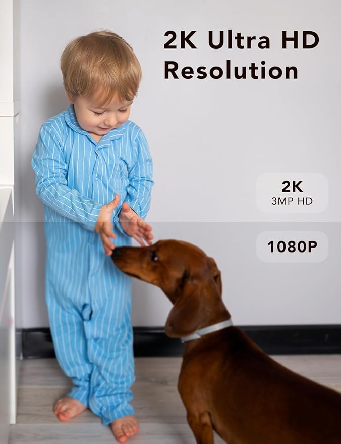 2K Security Camera Wired, Outdoor/Indoor for Home, Pet, Baby, Nanny, IP65 Waterproof Color Night Vision, White Light & Siren, Recording, Motion Detection, Works with Alexa,Black-2P