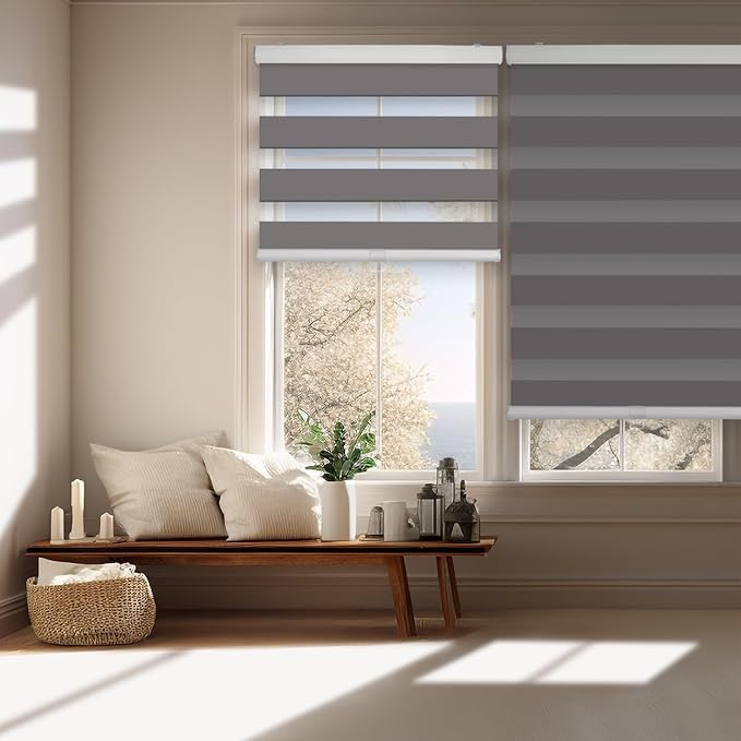FOIRESOFT Standard Cordless Custom Blackout Zebra Roller Shades and Blinds for Windows [Bonita, Pure Dark Grey, W 20-81 x H 20-84 inch] Dual Layer Sheer Room Darkening, Select 1x1 for Custom