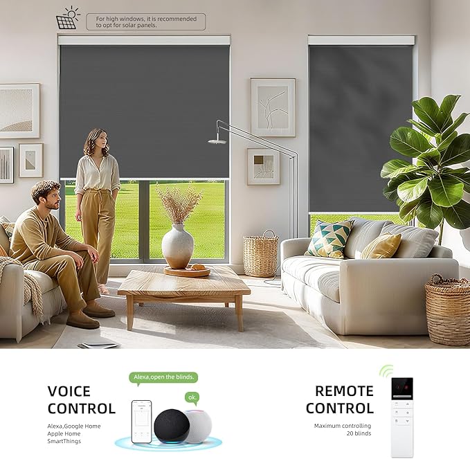 ZSTARR Motorized Smart Blind for Window with Remote Control, Automatic Blackout Roller Shade Customizable Size,with Valance Child Safety Rechargeable Battery Blinds (Dark Grey)