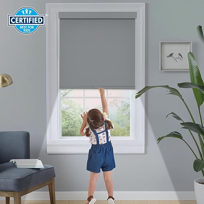 Persilux Blackout Roller Blinds for Windows, Cordless Roller Shades with Valance, Thermal Insulated Fabric Window Blinds, UV Protection Shades for Home and Bedroom (Grey,25" W x 72" H)