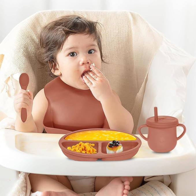 Dormlony 100% Silicone Baby Feeding Set, 9 Pcs: Bib, Divided Plate, Bowl, Sippy Cup, Spoons & Forks (Carrot)