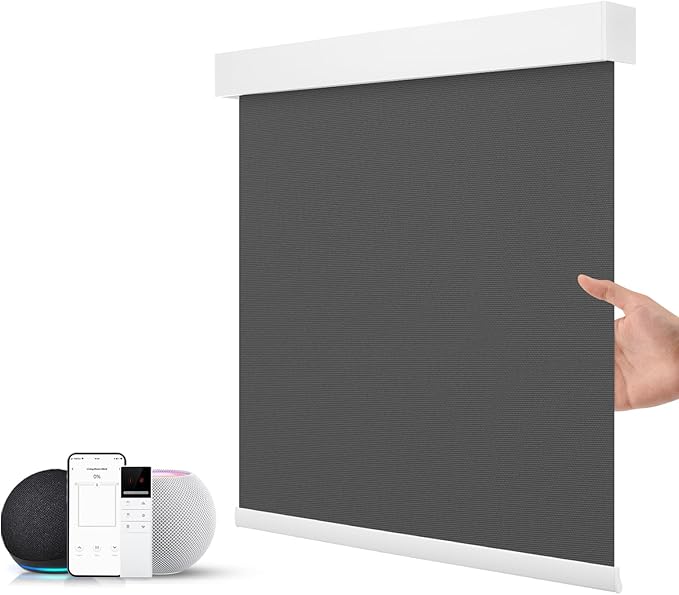ZSTARR Motorized Smart Blind for Window with Remote Control, Automatic Blackout Roller Shade Customizable Size,with Valance Child Safety Rechargeable Battery Blinds (Dark Grey)