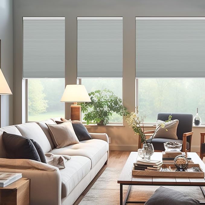 Changshade Cordless Cellular Shades, Blackout Honeycomb Shades for Windows, Pull Down Pleated Blinds, Easy to Install for Indoor Windows and French Doors,20" W x 48" H, Grey