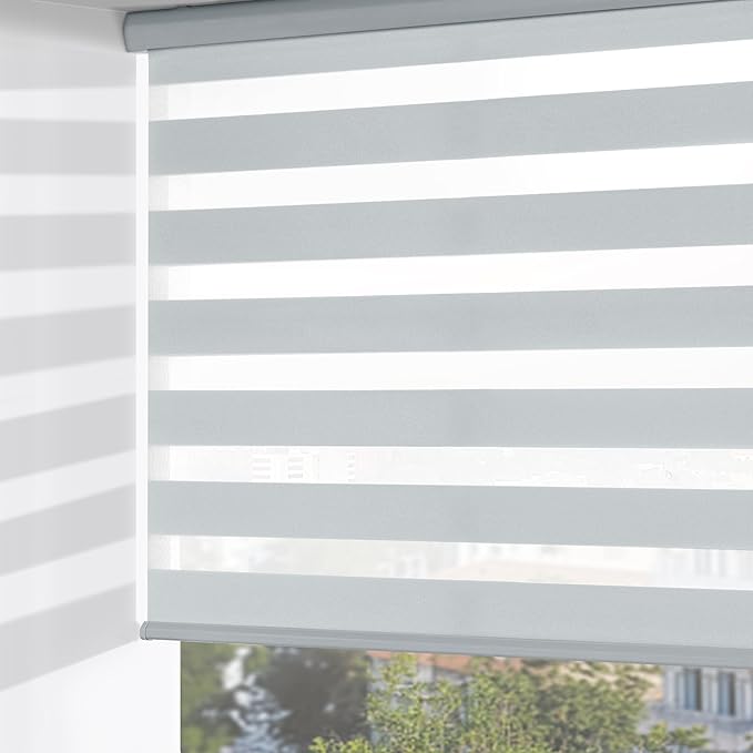 ChrisDowa Cordless Zebra Blinds for Windows, Dual Layer Free-Stop Light Filtering Window Roller Shades, Pull Down Privacy Zebra Shades for Home, Office, Bedroom, Door (39" W x 72" H, Light Grey)
