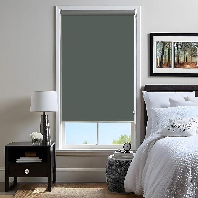 Allbright 100% Blackout Cordless Roller Shades for Windows, Thermal Insulated UV Protection, Window Roller Blinds for Home, Office, Bedroom, Door, 26" W x 72" H, Dark Grey