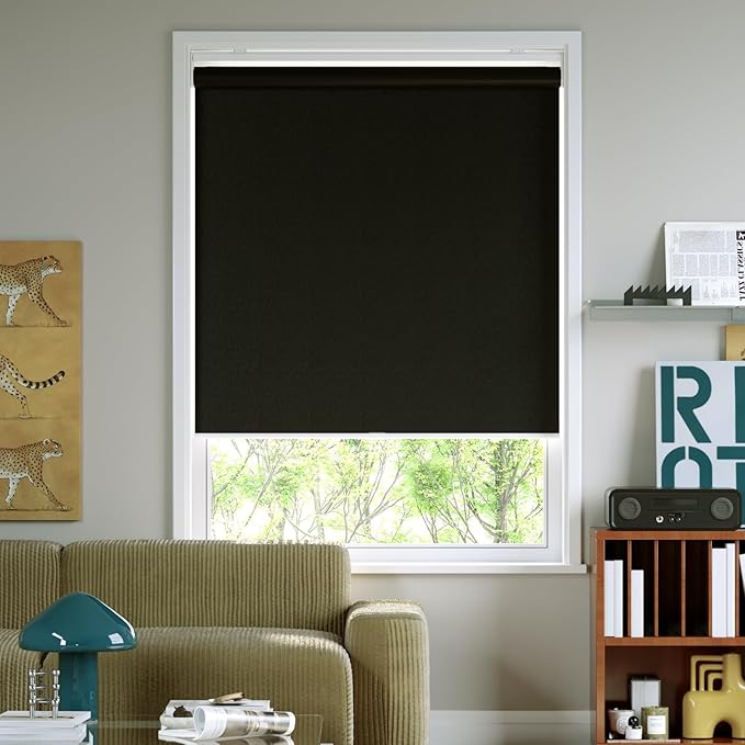 Cordless Roller Shades Blackout Blinds for Windows Room Darkening Rolled Up Shades with Spring System, UV Protection Window Shades Door Blinds for Home and Office (Black, 27" W x 72" H)
