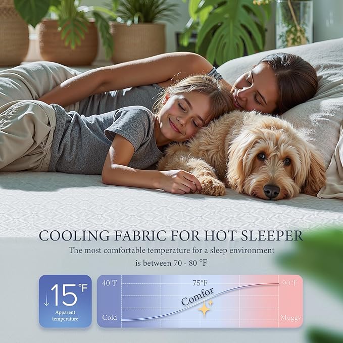 Waterproof Mattress Protector 2 Pillowcase 20''x28'', Queen Mattress Pad, Deep Stretchable Pocket Bed Cover, Machine Washable Soft Breathable Noiseless Mattress Protection