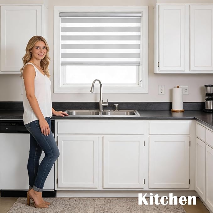 Zebra Roller Shades, Dual Layer Roll Up Blind for Living Room, Semi Sheer Shades Window Privacy Light Control for Day and Night, (Maximum Height 72inch, White Color, Width 26 inch)