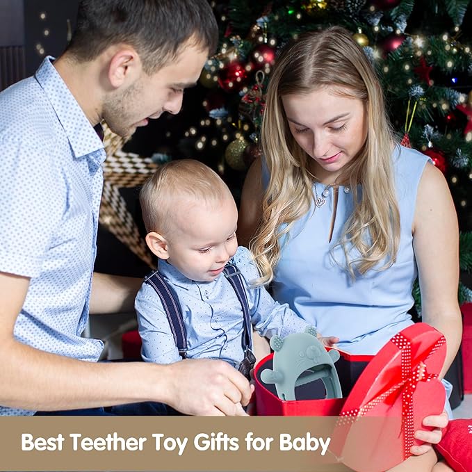 Silicone Baby Teether Toy for 3-24Months, BPA-Free Handheld Teething Relief Toy for Sore Gums, Easy-to-Grip Animal Design for Infants & Toddlers, Dishwasher Safe(Groundhog Dusty Blue)