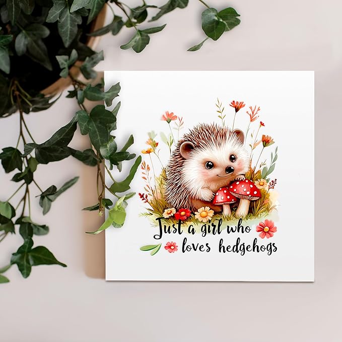 Hedgehog Decor Wooden Box Sign Decorative, Home Room Desk Decorations For Teens Teenage Girls Age 8-12, Hedgehog Lovers Themed Gifts Stuff Accessories Things Merchandise Items!