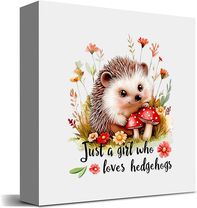 Hedgehog Decor Wooden Box Sign Decorative, Home Room Desk Decorations For Teens Teenage Girls Age 8-12, Hedgehog Lovers Themed Gifts Stuff Accessories Things Merchandise Items!