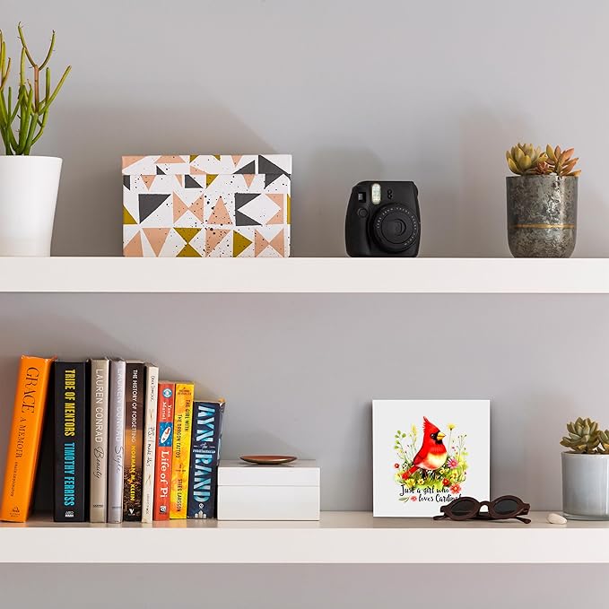 Cardinal Decor Wooden Box Sign Decorative, Home Room Desk Decorations For Teens Teenage Girls Age 8-12, Cardinal Lovers Themed Gifts Stuff Accessories Things Merchandise Items!