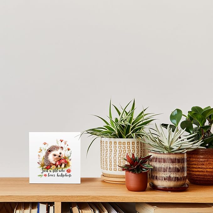 Hedgehog Decor Wooden Box Sign Decorative, Home Room Desk Decorations For Teens Teenage Girls Age 8-12, Hedgehog Lovers Themed Gifts Stuff Accessories Things Merchandise Items!
