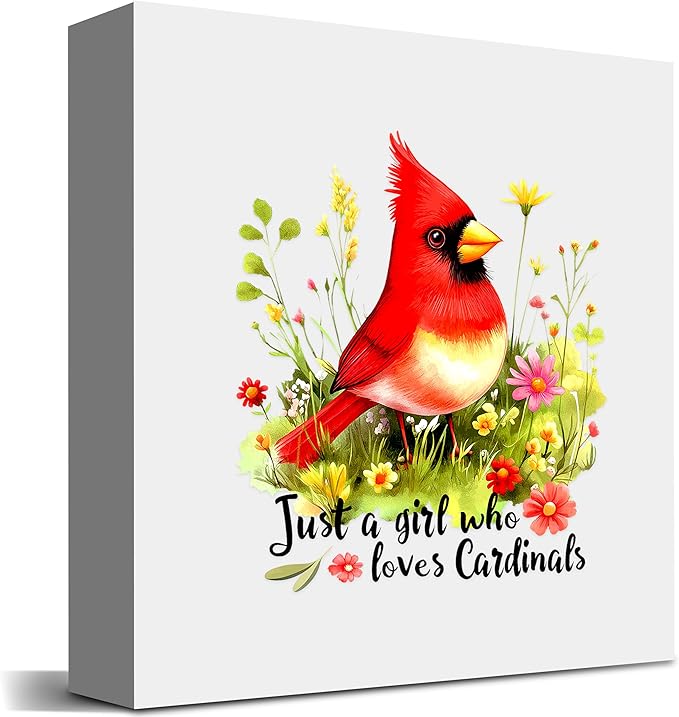Cardinal Decor Wooden Box Sign Decorative, Home Room Desk Decorations For Teens Teenage Girls Age 8-12, Cardinal Lovers Themed Gifts Stuff Accessories Things Merchandise Items!