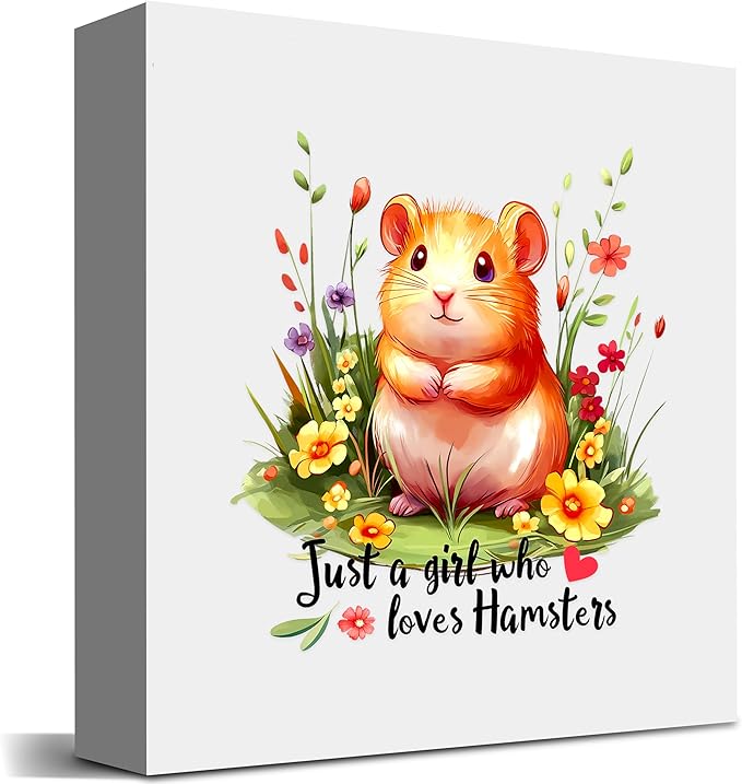 Hamster Decor Wooden Box Sign Decorative, Home Room Desk Decorations For Teens Teenage Girls Age 8-12, Hamster Lovers Themed Gifts Stuff Accessories Things Merchandise Items!