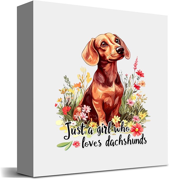 Dachshund Decor Wooden Box Sign Decorative, Home Room Desk Decorations For Teens Teenage Girls Age 8-12, Dachshund Lovers Themed Gifts Stuff Accessories Things Merchandise Items!