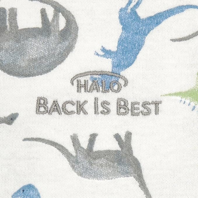HALO SleepSack, 100% Cotton Wearable Blanket, Swaddle Transition Sleeping Bag, TOG 0.5, Watercolor Dinos, Medium, 6-12 Months