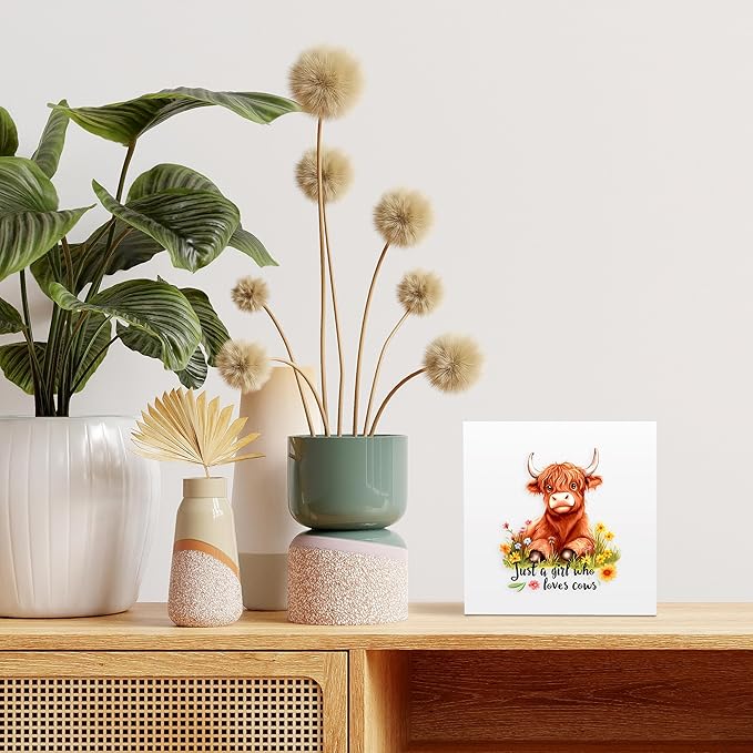 Highland Cow Decor Wooden Box Sign Decorative, Home Room Desk Decorations For Teens Teenage Girls Age 8-12, Cow Lovers Themed Gifts Stuff Accessories Things Merchandise Items!