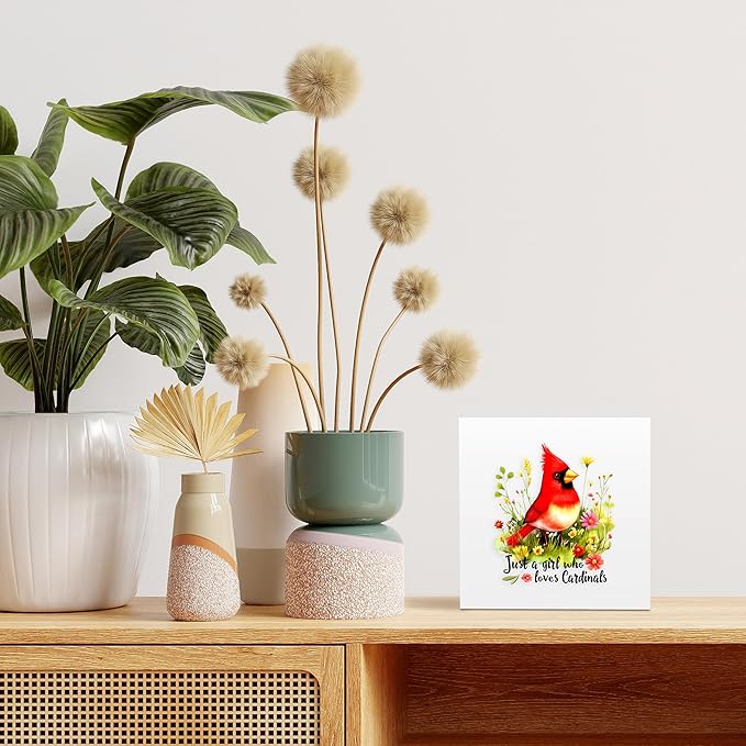 Cardinal Decor Wooden Box Sign Decorative, Home Room Desk Decorations For Teens Teenage Girls Age 8-12, Cardinal Lovers Themed Gifts Stuff Accessories Things Merchandise Items!